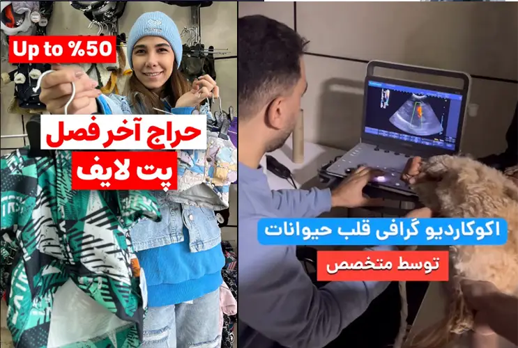 بیمارستان دامپزشکی شبانه روزی پت لایف مهرشهر کرج