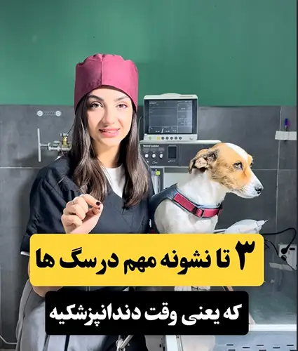 دامپزشکی پت لایف مهرشهر کرج