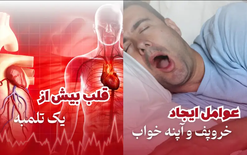 دکتر شیدا کشاوری متخصص قلب و عروق کرج