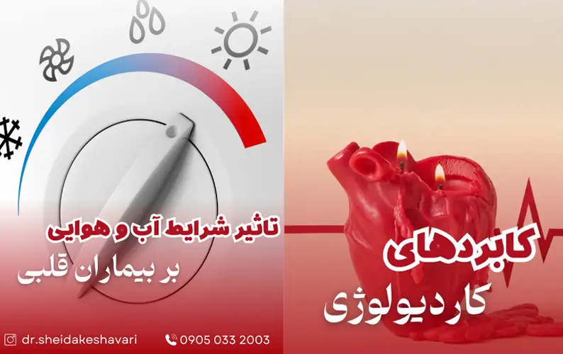دکتر شیدا کشاوری متخصص قلب و عروق کرج