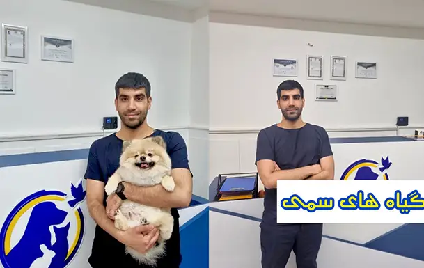 دامپزشکی کرج جهانشهر