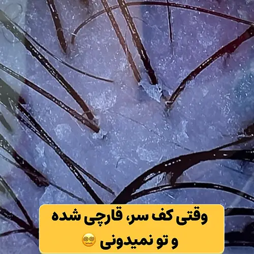 سالن احیا مو فرزانه نوروز پور