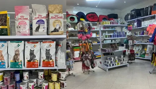 کلینیک دامپزشکی و پت شاپ بارانا