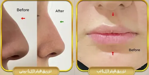 دکتر فرشته برنگی