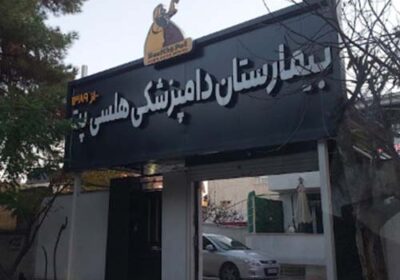 دامپزشکی-هلسی-پت-کرج
