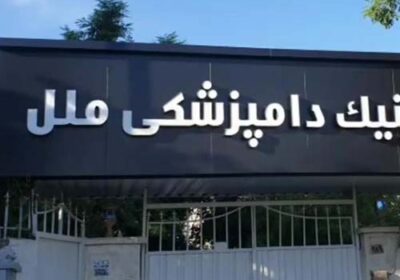 کلینیک-دامپزشکی-ملل-کرج