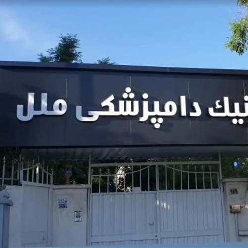 کلینیک دامپزشکی ملل مهرشهر