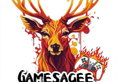 گیم-نت-سیج-کرج-گوهردشت