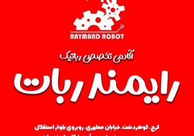 رایمند-ربات