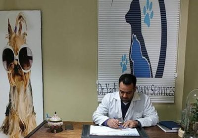کلینیک-دامپزشکی-دکتر-یدی