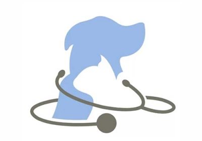 کلینیک-دامپزشکی-و-پت-شاپ-بارانا